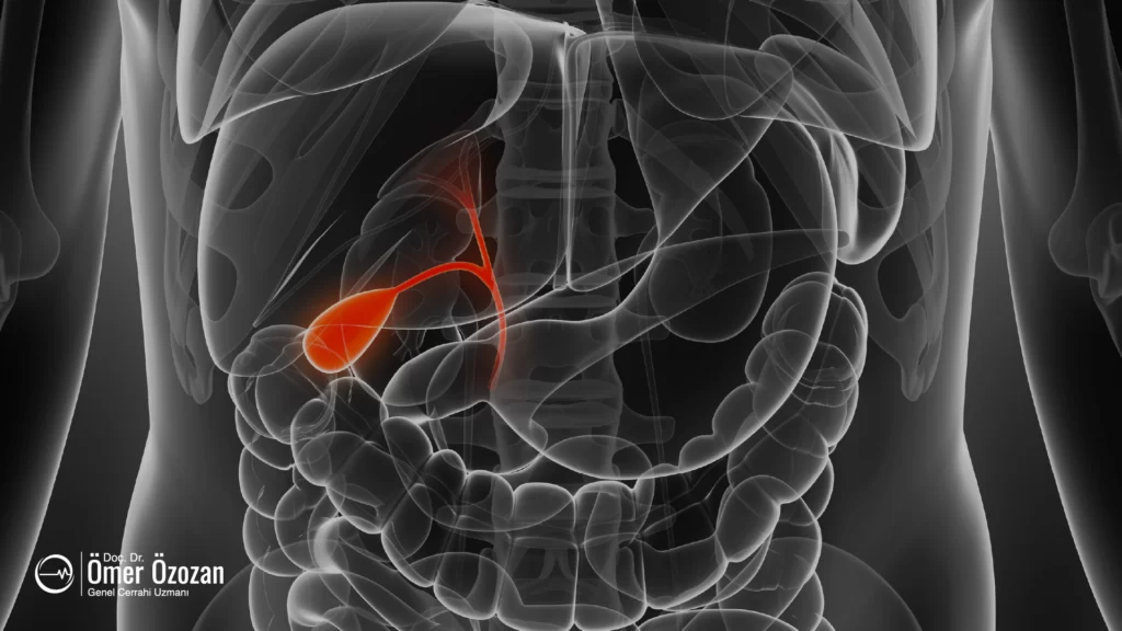 Safra Kesesi ve Fonksiyonları